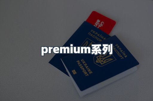 premium系列